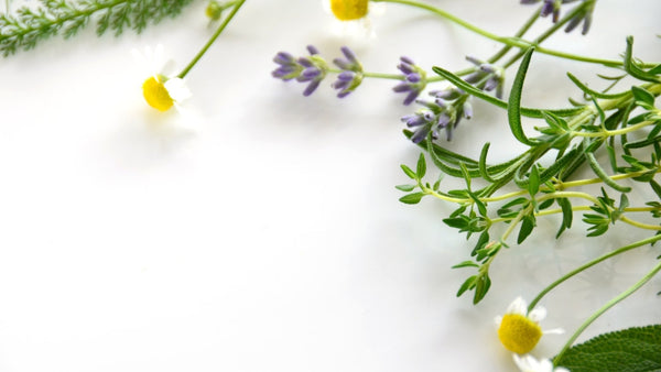 Hausmittel gegen Wassereinlagerungen - Venen Engel Online Magazin