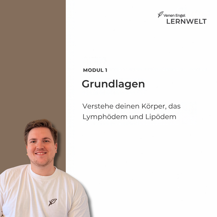 Venen Engel Lernwelt – Module 1