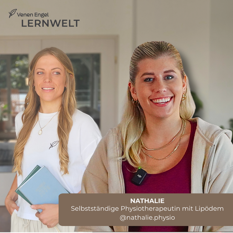 Venen Engel Lernwelt – Modul 2