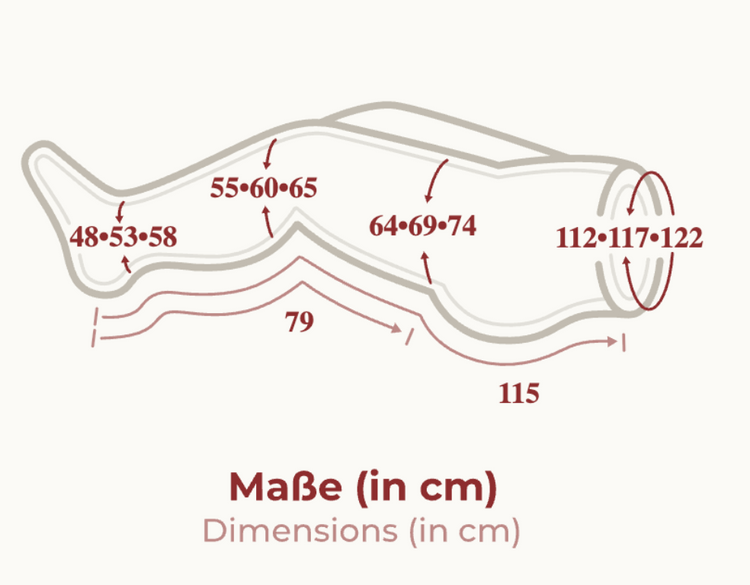 Venen Engel Plus mit Lymph-Flow Pants