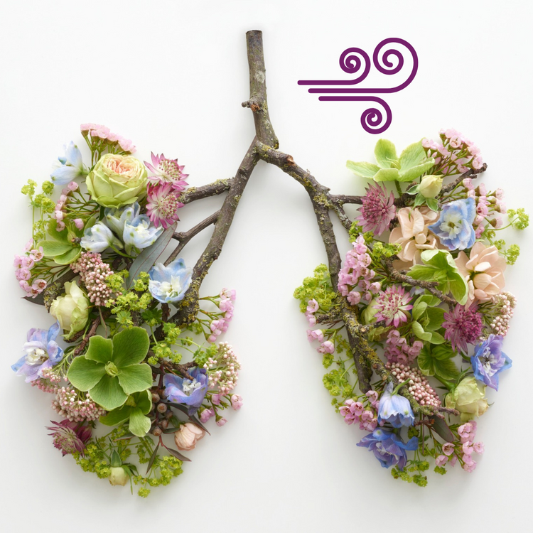 Venen Engel: Blumen und Blattarrangement vor weißem Hintergrund