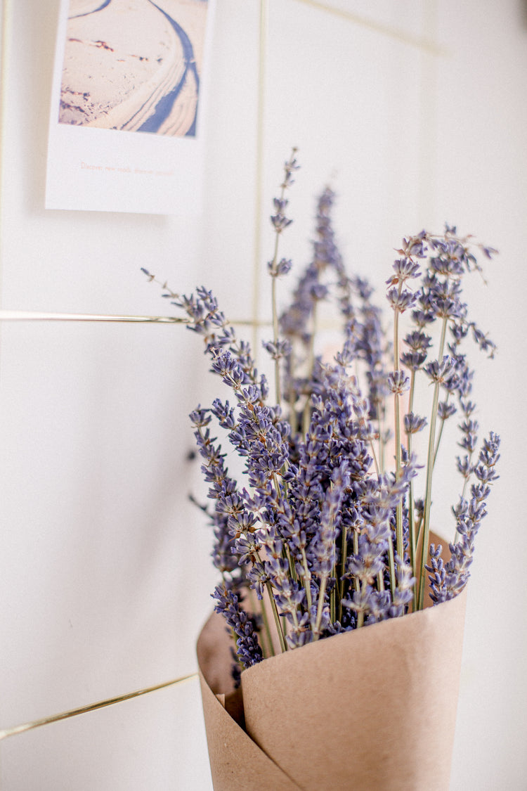 Venen Engel - Moodbild Blumen
